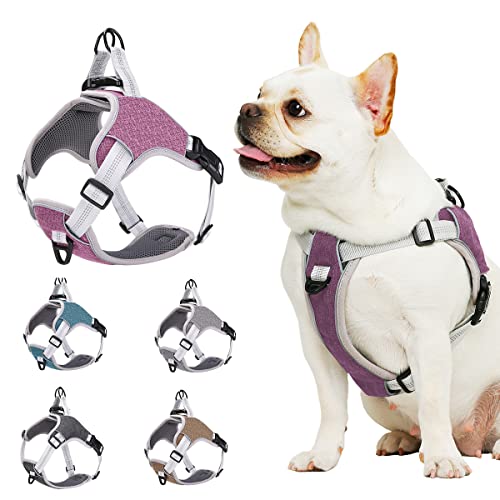 Candy care Dog Harness