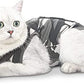 Cat post surgery camo style recovery suit