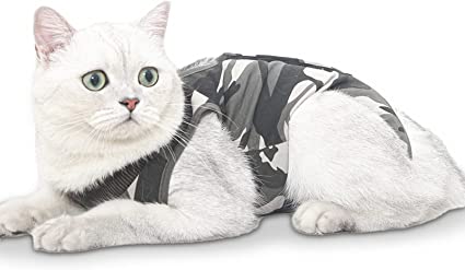 Cat post surgery camo style recovery suit